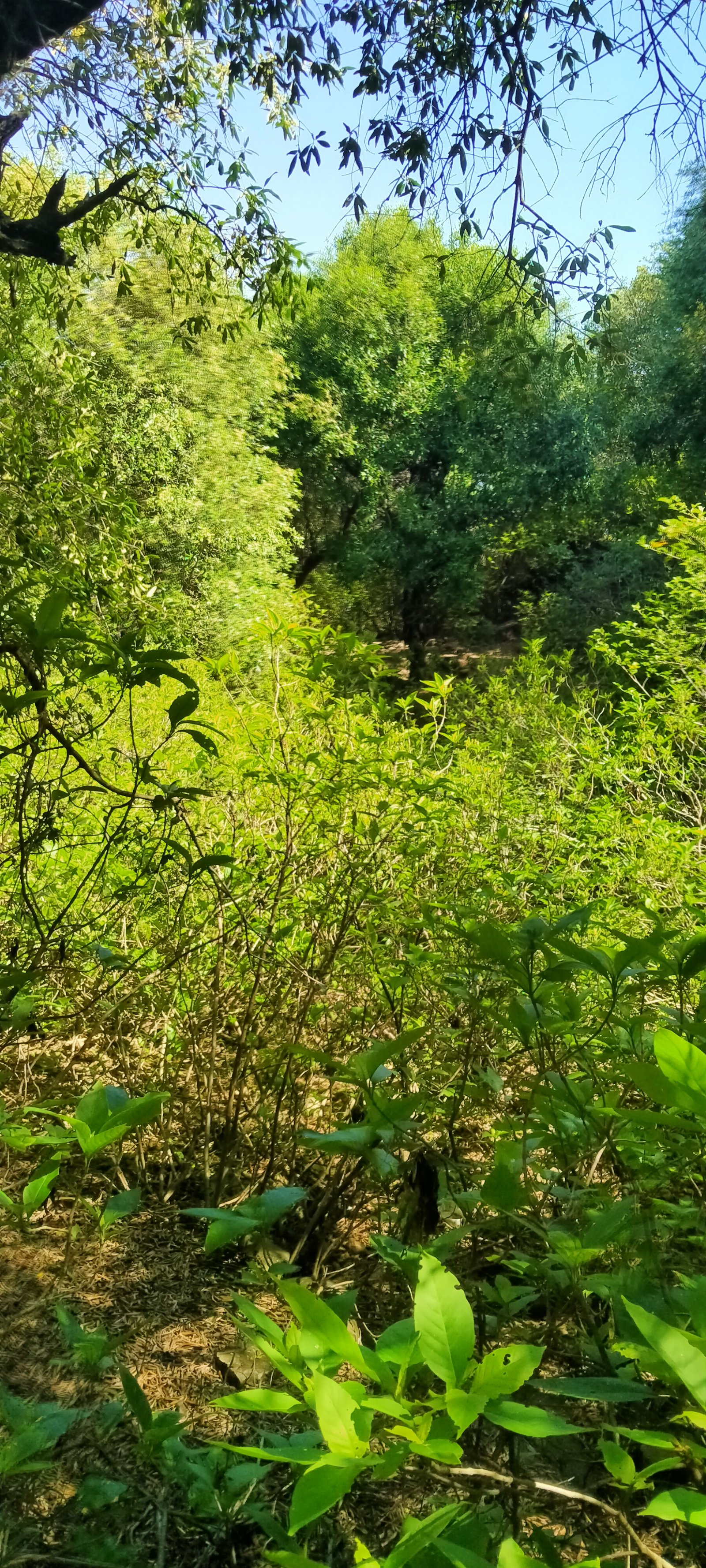 Travel Photo